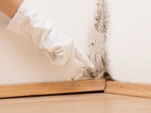 Ratgeber : Bad Sanierung Planen Badezimmer Schimmel Decke Streichen Bekämpfen Ohne Schädliche Auf Haus Bad Sanierung Planen