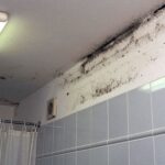 Fliesen & Farben : Fugen Im Bad Erneuern Badezimmer Streichen Wasserfest Dunkel Bis Schwarzer Schimmelbefall An Der Zimmer Fugen Im Bad Erneuern