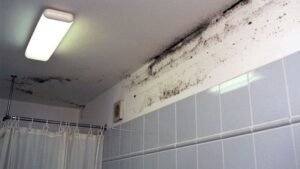 Badezimmer Style: Fugen Im Bad Erneuern Badezimmer Schwarzer Schimmel Decke Wandkante Lueftungsventilator Duschvorhang Badspiegel Mit Beleuchtung