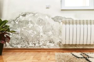 Wohnzimmer Ideen : Fugen Im Bad Erneuern Wand Schimmelbefall Heizkoerper Feuchtigkeitsflecken Zimmerpflanze Parkettboden Moderne Wohnzimmer Deko Ideen Wohnzimmer Ideen: Fugen Im Bad Erneuern Wand Schimmelbefall Heizkoerper Feuchtigkeitsflecken Zimmerpflanze Parkettboden Moderne Wohnzimmer Deko Ideen